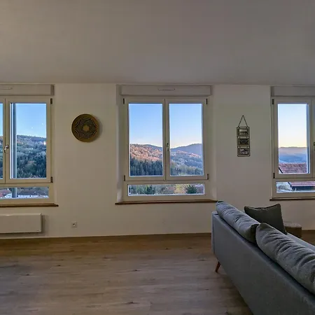 Spacieux A Le Tholy, 6 Pers, Vosges - Fr-1-589-784 Le Tholy